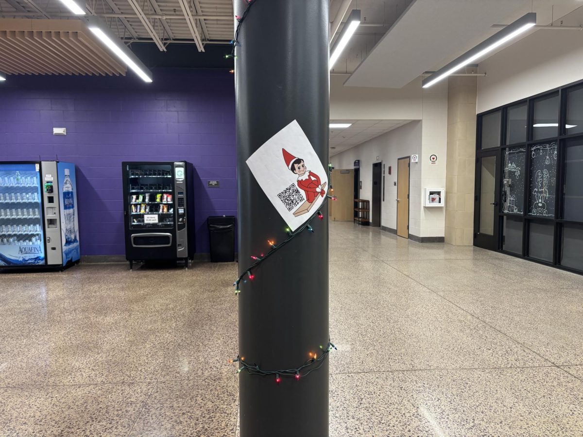 Feathers sliding down the lights in the commons 