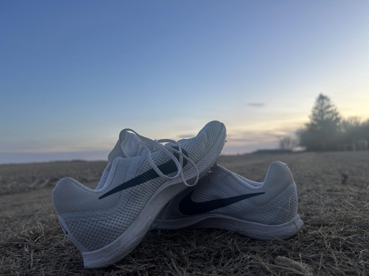 Track spikes waiting to be laced up. 