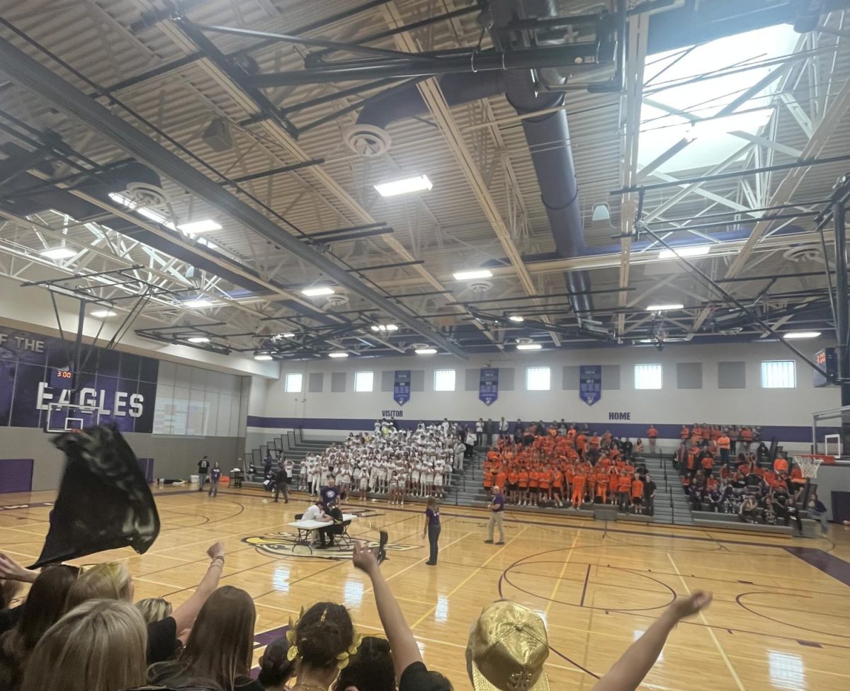 (BOTC) means battle of the classes