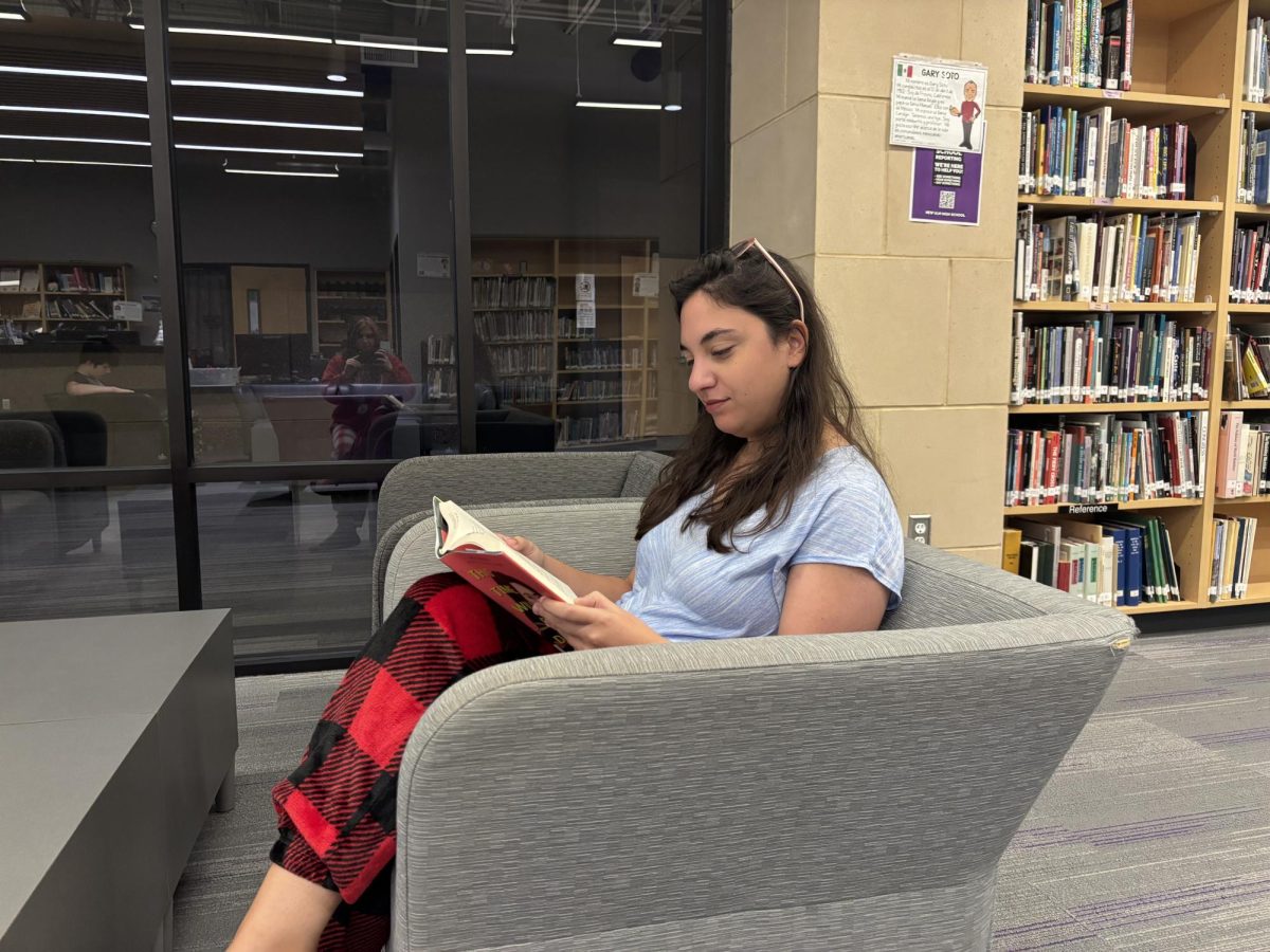 Ms. Formica, the librarian, reading one of the new books in the New Ulm High School library.