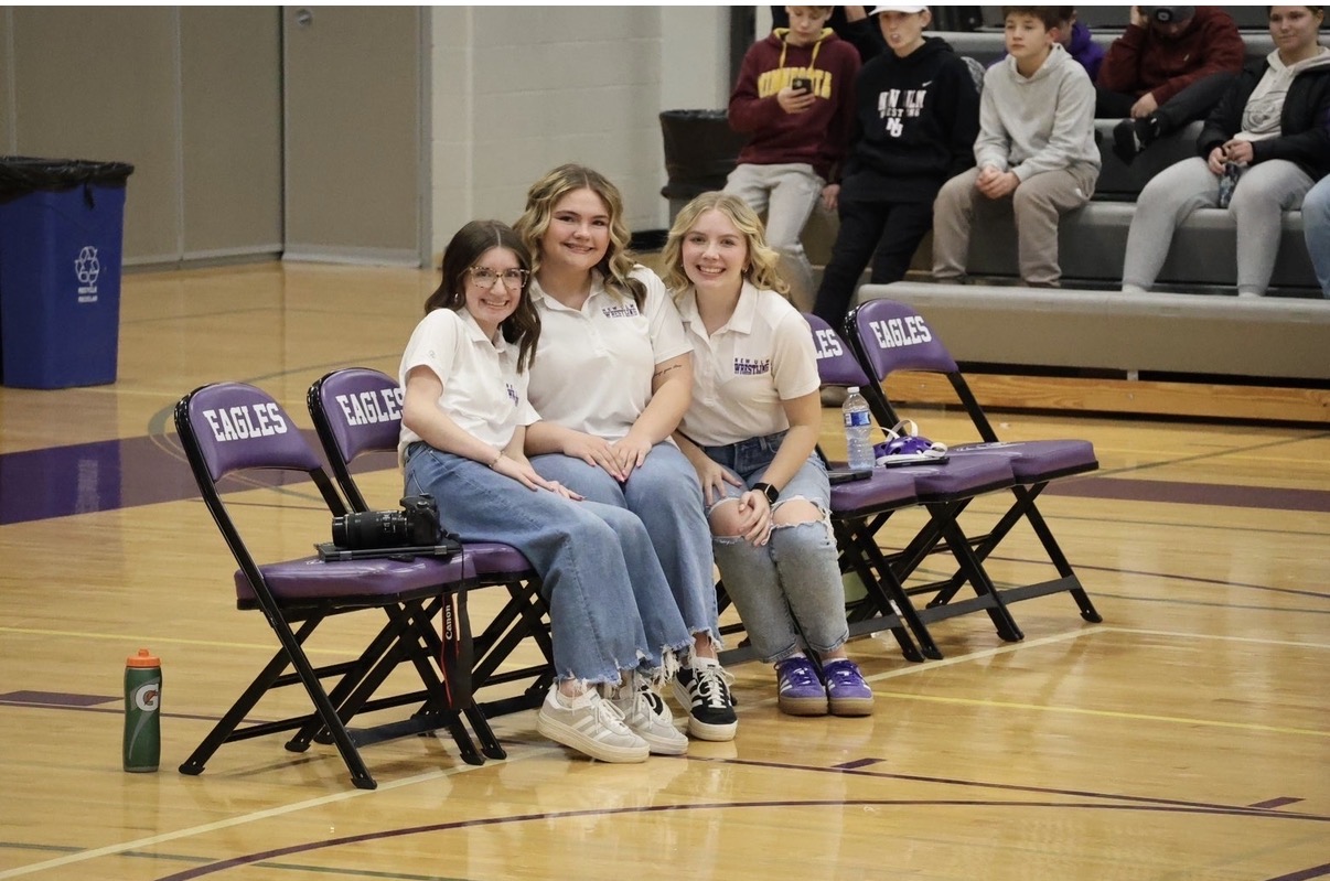 Need for Wresting Managers