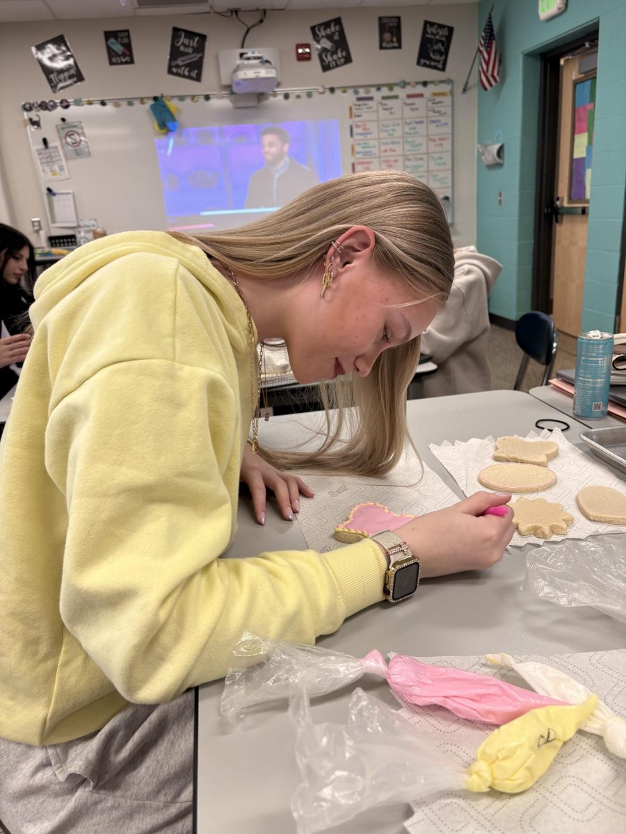 Junior Genesis Rabe decorates Easter themed sugar cookies with Royal Icing. 
