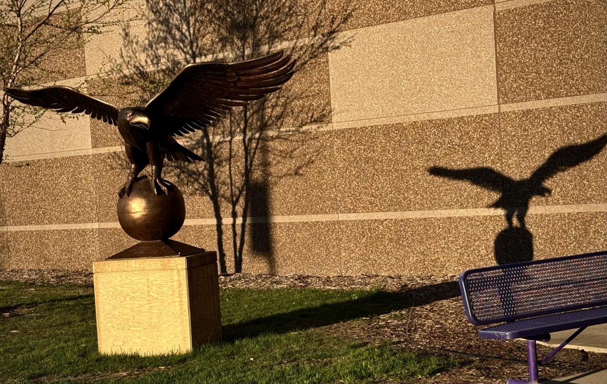 The early bird